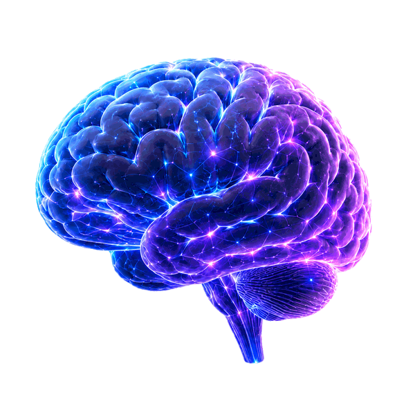 Omatic Minds visual
